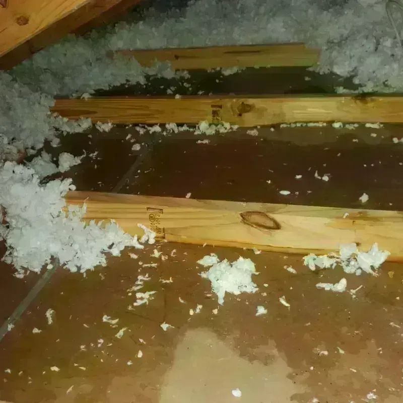 Attic Water Damage in McLean County, ND